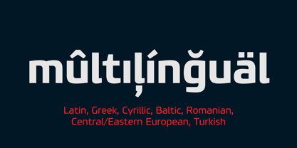 PF Benchmark Pro Font Poster 10