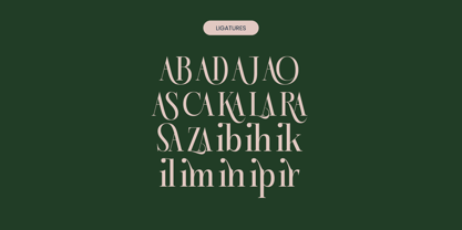 Karosa Font Poster 11