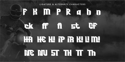 Pronair Font Poster 9