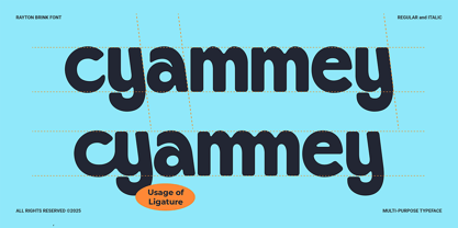 Rayton Brink Font Poster 9