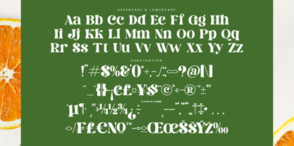 Dream Silvers Font Poster 14