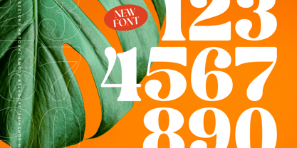 Dream Silvers Font Poster 13