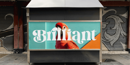 Dream Silvers Font Poster 4