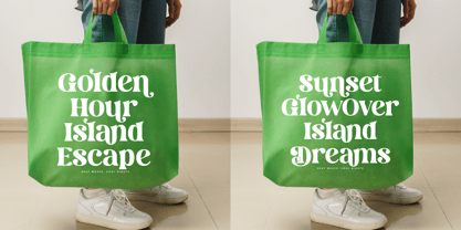 Dream Silvers Font Poster 7