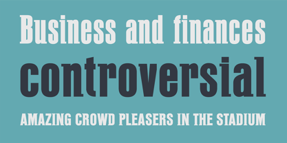 PF Fusion Slab Font Poster 3