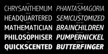 PF Bulletin Sans Pro Font Poster 6