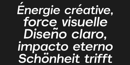 Akmorn Grotesque Font Poster 13