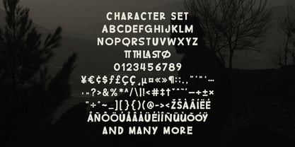 MC Luthgy Font Poster 7