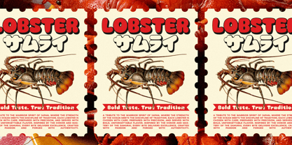 Mochi Boom Font Poster 6