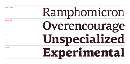 PF Centro Serif Pro Font Poster 6