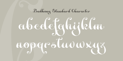 Badhong Font Poster 6