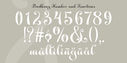 Badhong Font Poster 8