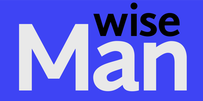 PF Diplomat Sans Font Poster 1