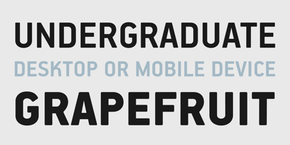 PF Handbook Pro Font Poster 5