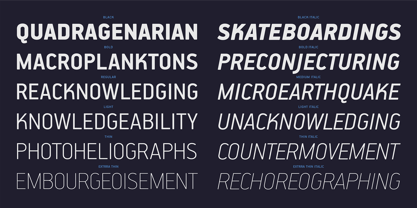 PF Handbook Pro Font Poster 9