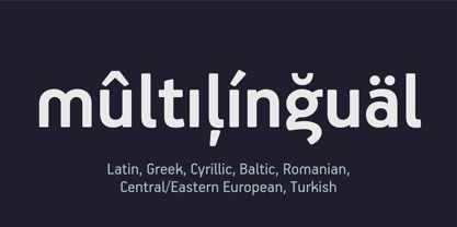 PF Handbook Pro Font Poster 10