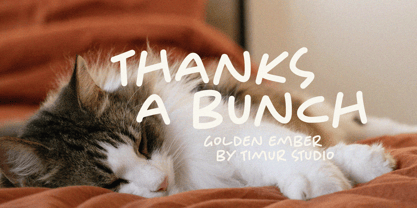 Golden Ember Font Poster 7
