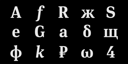 PF DIN Serif Font Poster 4