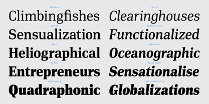 PF DIN Serif Font Poster 9