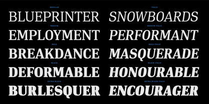 PF DIN Serif Font Poster 10