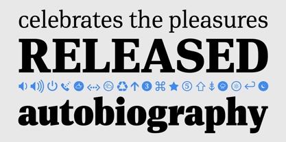 PF DIN Serif Font Poster 3