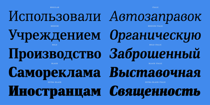 PF DIN Serif Font Poster 14