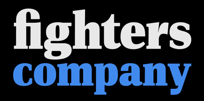 PF DIN Serif Font Poster 1