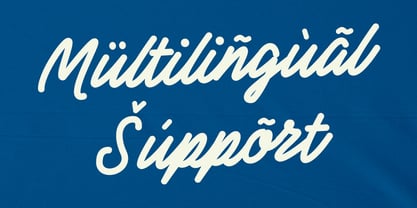 MC Mingers Font Poster 5