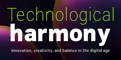 Zendory Font Poster 13