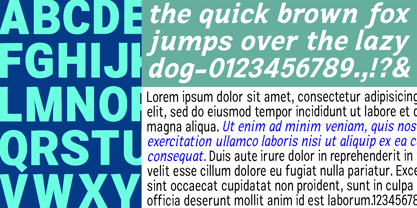 Zendory Font Poster 9