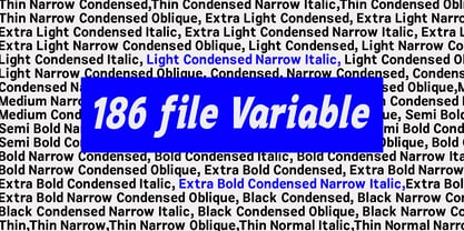 Zendory Font Poster 14