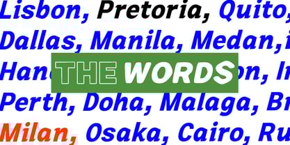 Zendory Font Poster 7