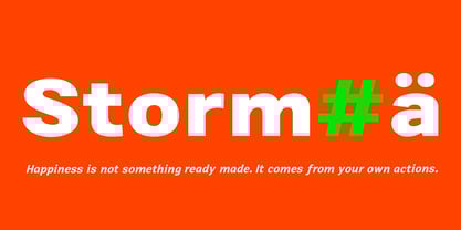 Zendory Font Poster 5