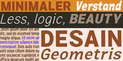 Zendory Font Poster 6