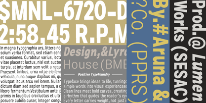 Zendory Font Poster 3