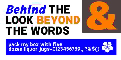 Zendory Font Poster 4