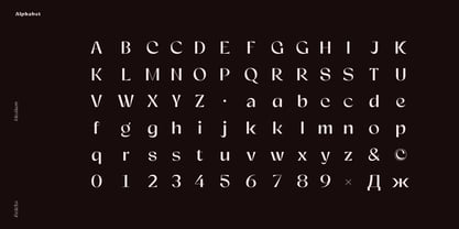 Relicta Font Poster 10