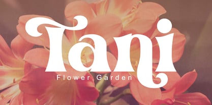 Alpan Font Poster 10