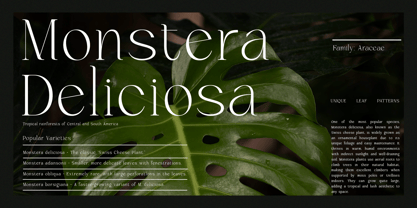 Brikelia Font Poster 2