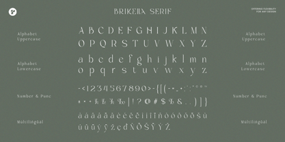 Brikelia Font Poster 11
