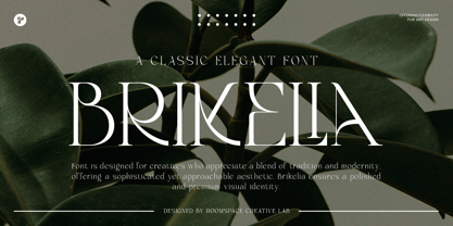 Brikelia Font Poster 1