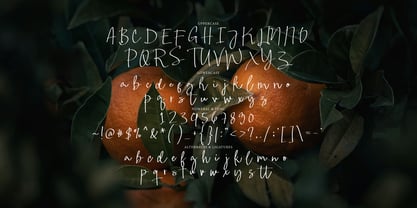 Famous Voice Signature Font Poster 6