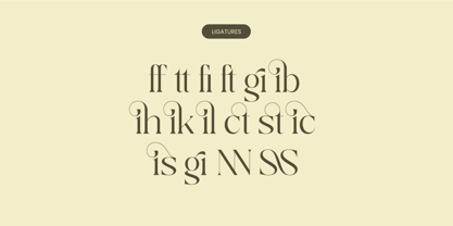 Qaisar Font Poster 14