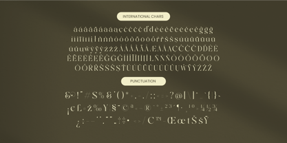 Qaisar Font Poster 15