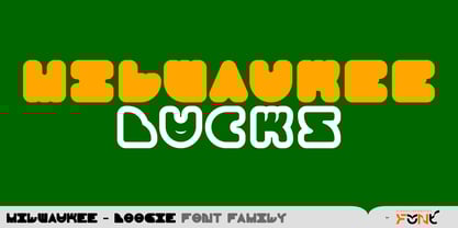 Milwaukee Boogie Font Poster 13