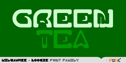 Milwaukee Boogie Font Poster 5