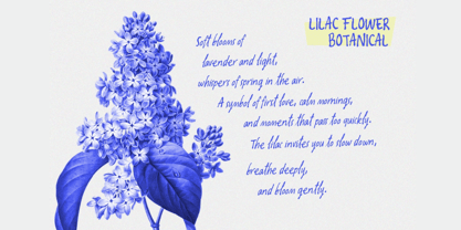 Oniolos Font Poster 3