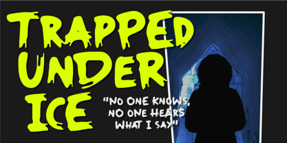 Froozen Font Poster 3