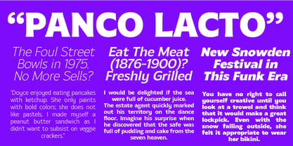 MTC Gilcho Font Poster 8