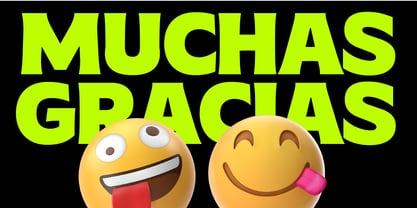 MTC Gilcho Font Poster 13